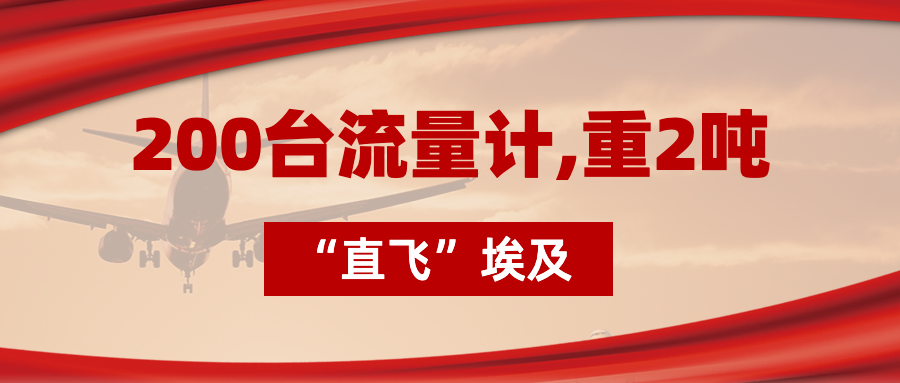 200臺流量計“直飛”埃及，重2噸，運費10萬